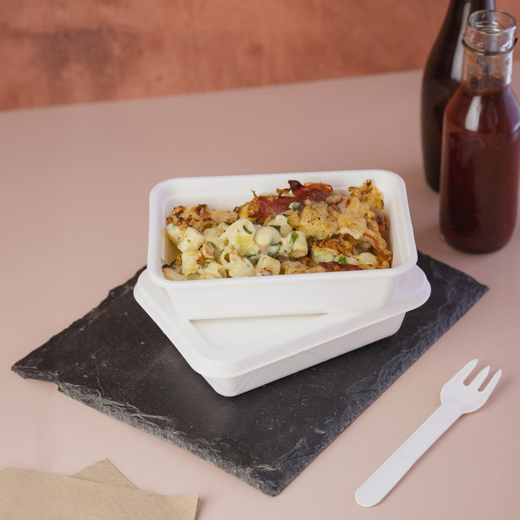 16oz (500ml) Container - Plant fibre - PFAS Free - White