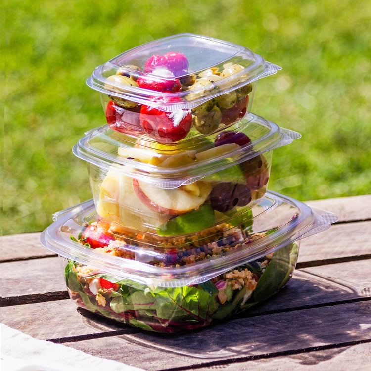 8oz (250ml) Rectangular Hinged Container â€“ Clear PLA - Image #2
