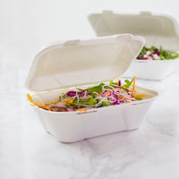 Snack Clam Regular 7 x 5" White - Sugarcane