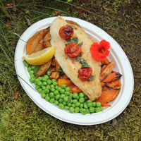 10 inch Oval Bagasse Plate - White