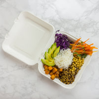 8" x 8" Dinner Clam Medium - Plant Fibre - PFAS Free - White