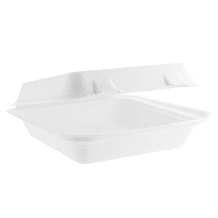 8" x 8" Dinner Clam Medium - Plant Fibre - PFAS Free - White