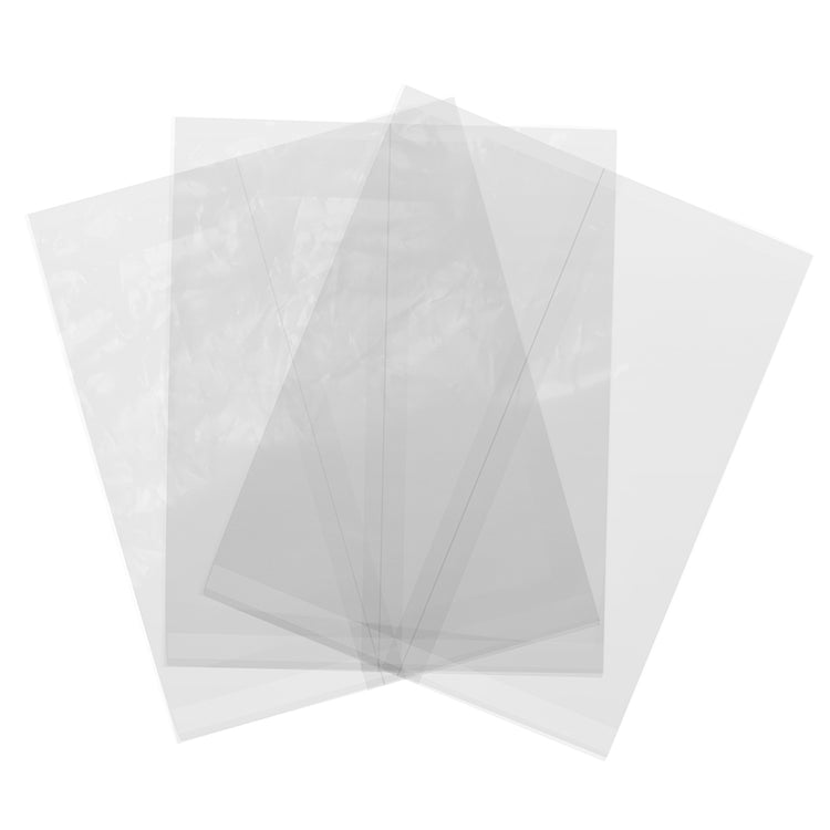 Clear NatureFlex Bag - 22 x 18cm