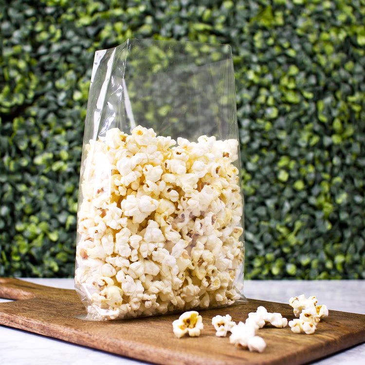Clear NatureFlex Bag with Gusset - 24 x 5 x 15cm