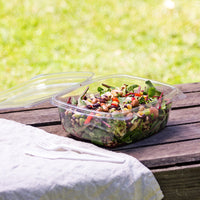 48oz (1500ml) Rectangular Hinged Container/Clamshell - PLA Clear