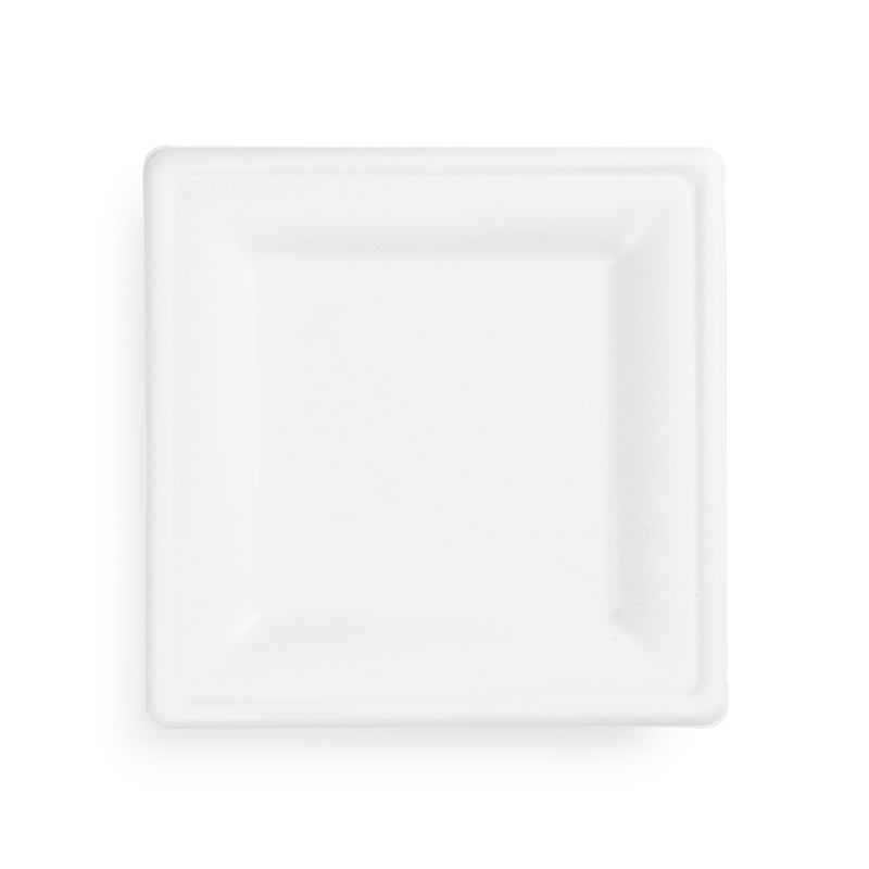 8 inch Square Bagasse Plate - White