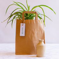 Medium Recycled Paper Carry Bag - Kraft Brown