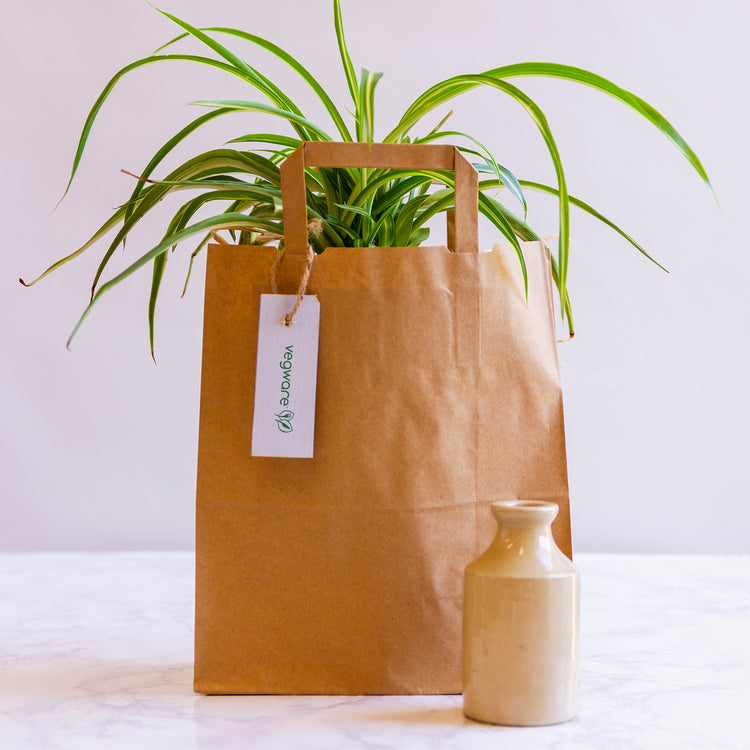 Medium Recycled Paper Carry Bag - Kraft Brown